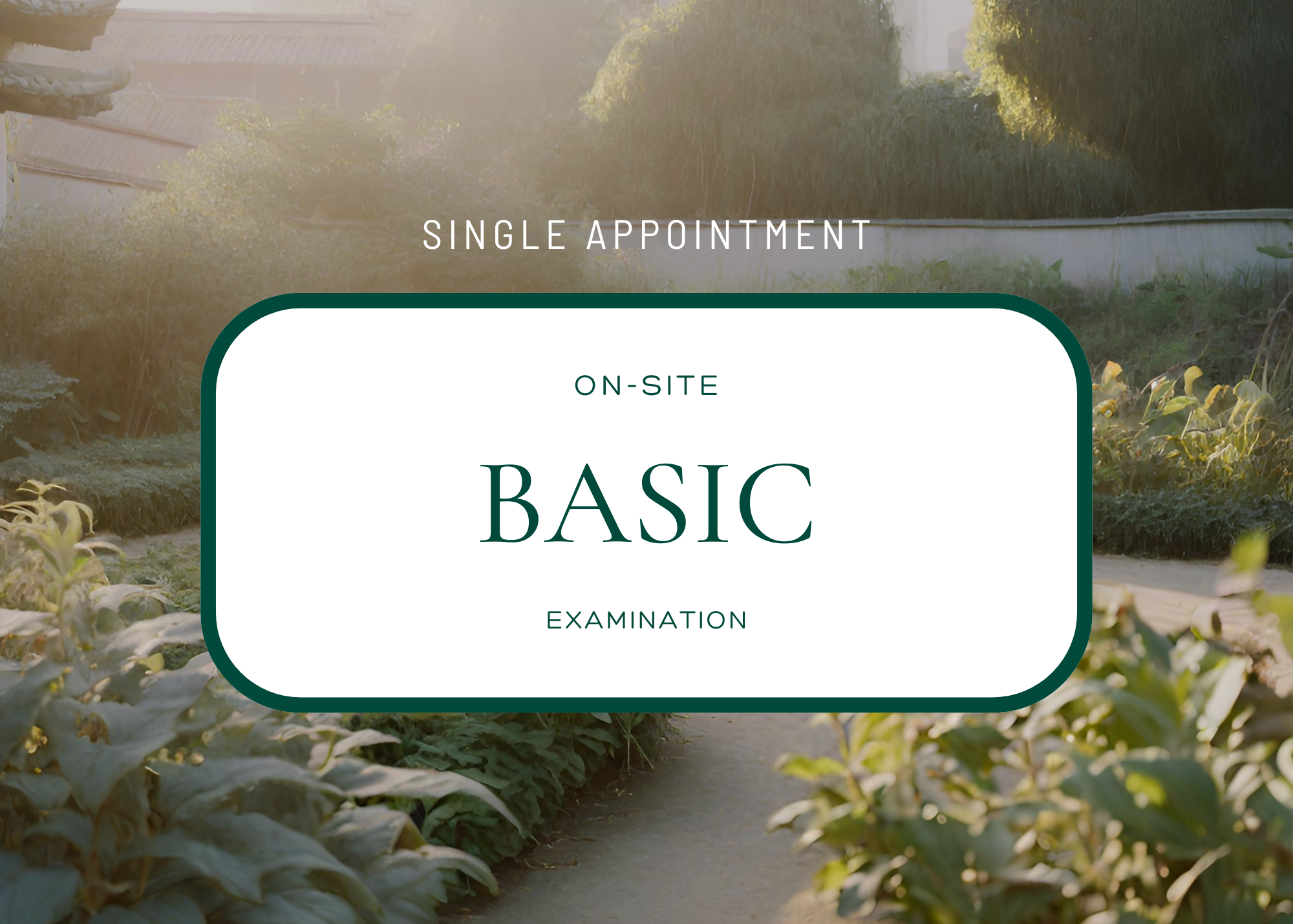 Basic single appointment