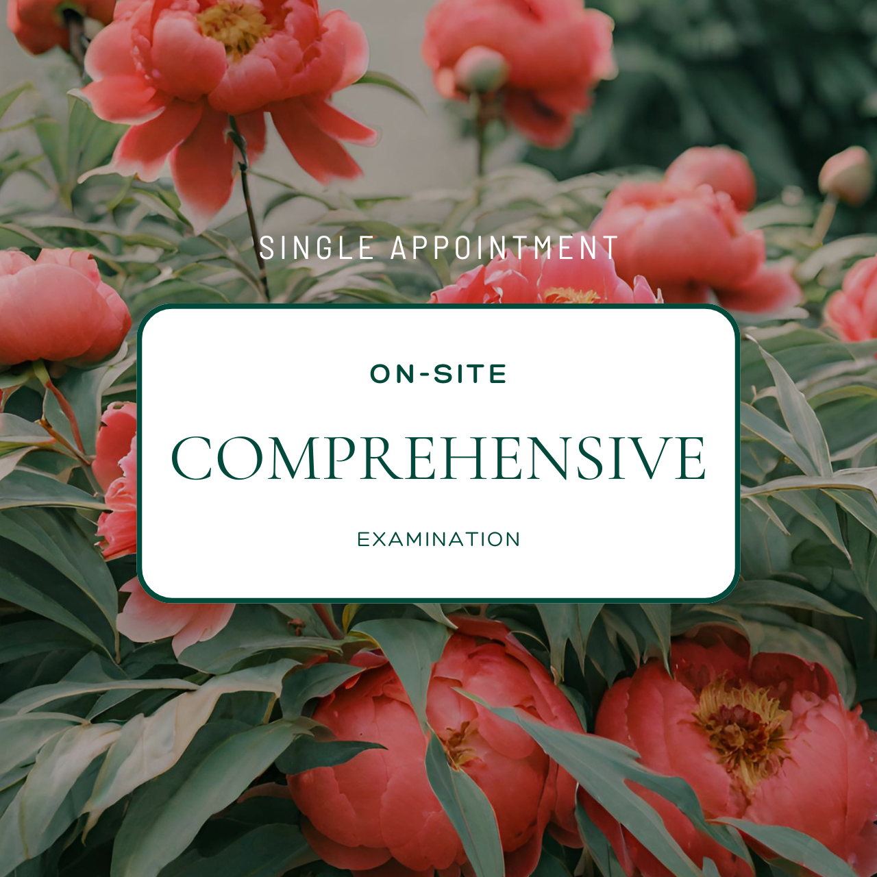 Comprehensive Examination Appointment