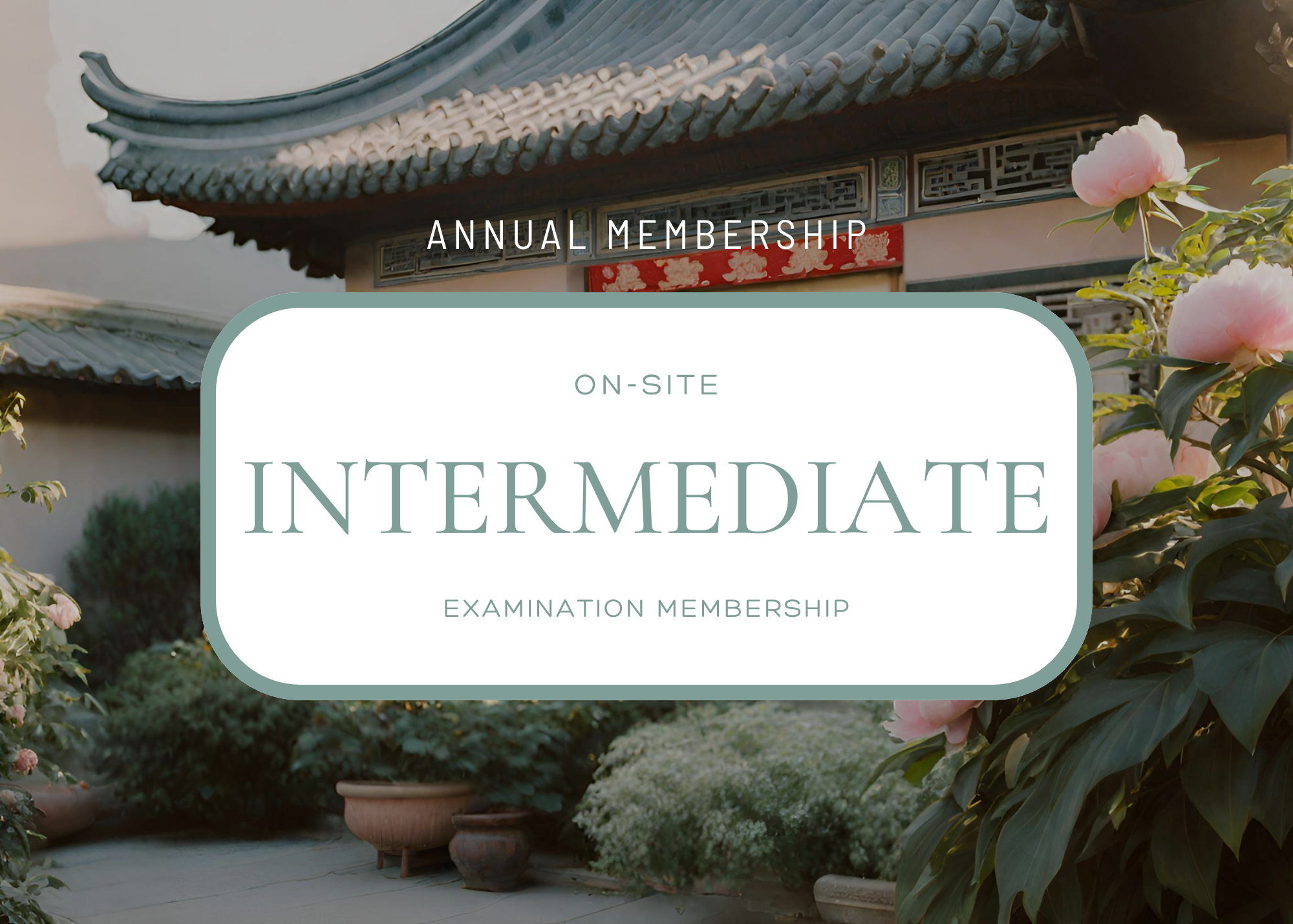 Intermediate Membership