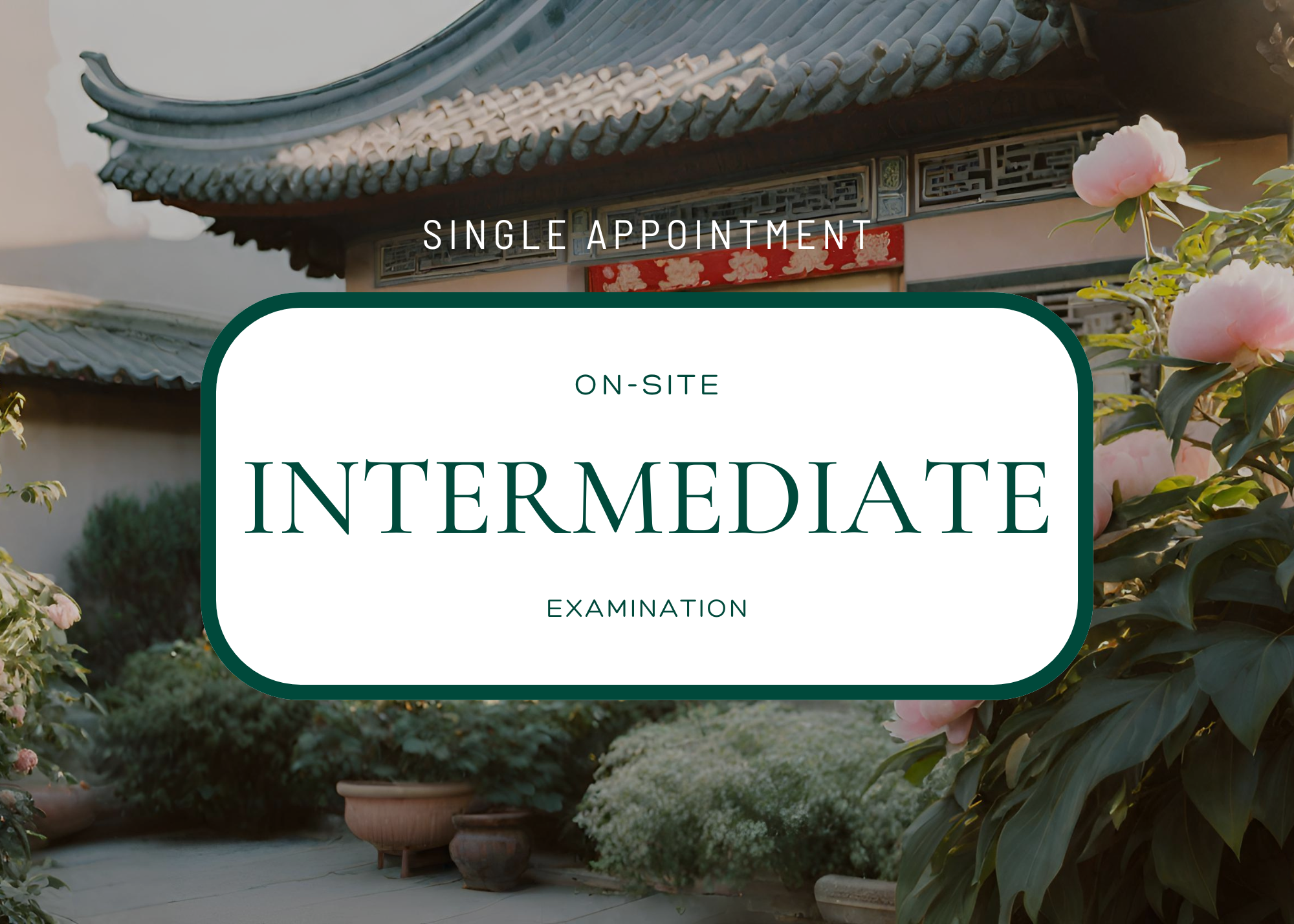 single appointment Interactive Memberships Exam